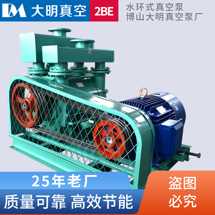 2BEA(2BE1)系列水环式真空泵