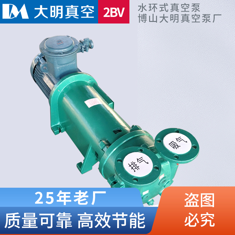 2BV6系列防爆水环式真空泵